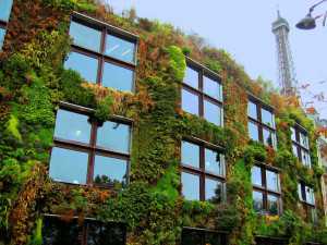 paris-mur-vegetal-patrick-blanc-musee-branly-jean-nouvel